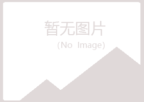 宛城区夜山咨询有限公司